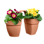 vibia campana flower twin 21cm terra